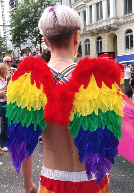 Anke Frickmann Beratung Hamburg Christopher Street Day CSD Pride Flügel Regenbogen Farben