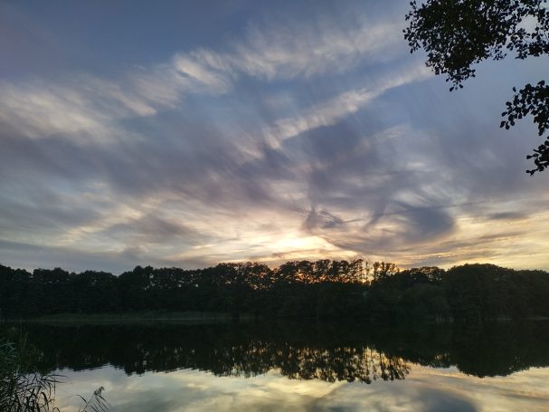 Frickmann Beratung Hamburg See Wald Sonnenuntergang Himmel